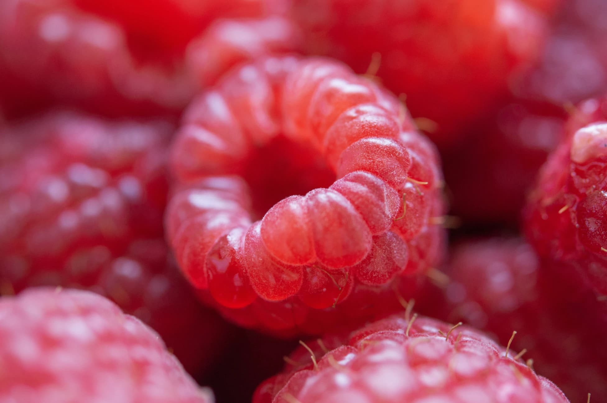 Raspberries photographed with depth of field that blurs the background