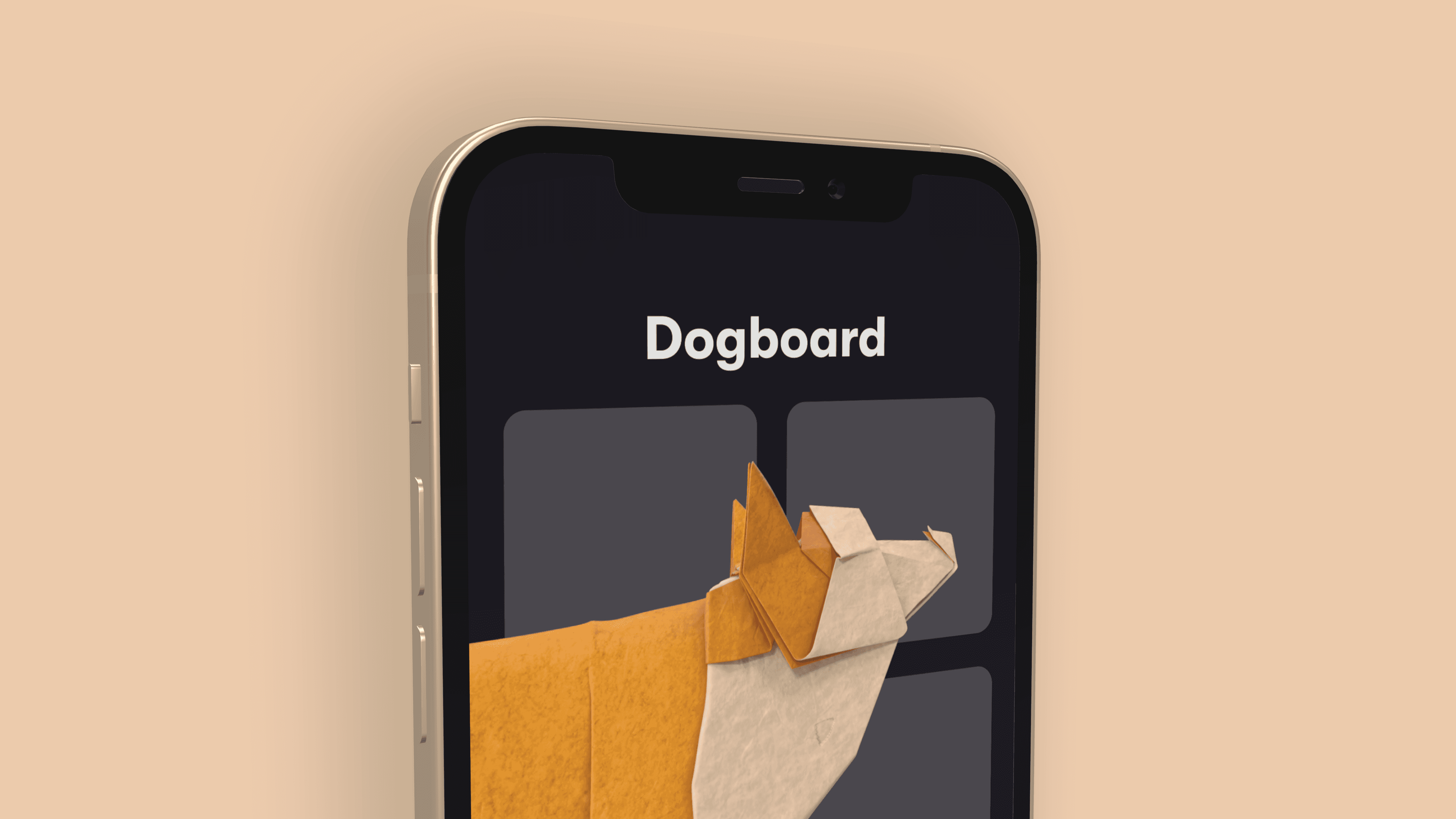 iPhone 12 mockup device gallery 17