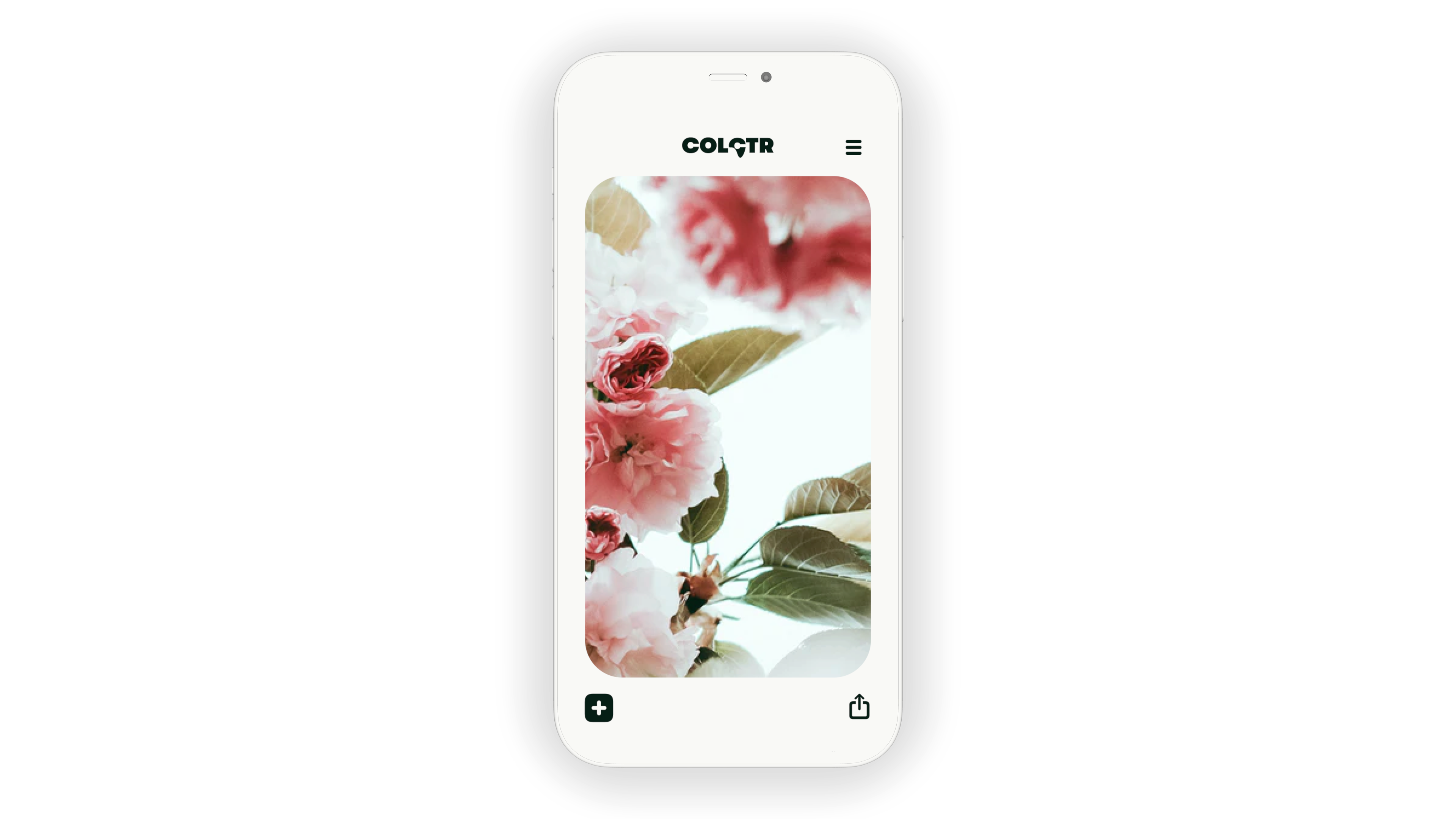 White frontal view with Pinterest-like UI